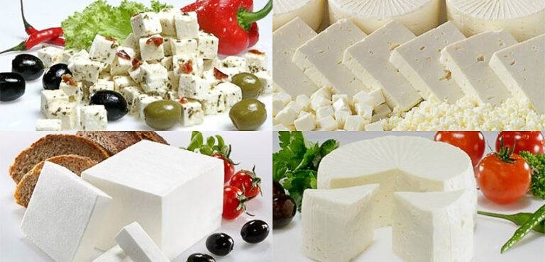 Hvid ost