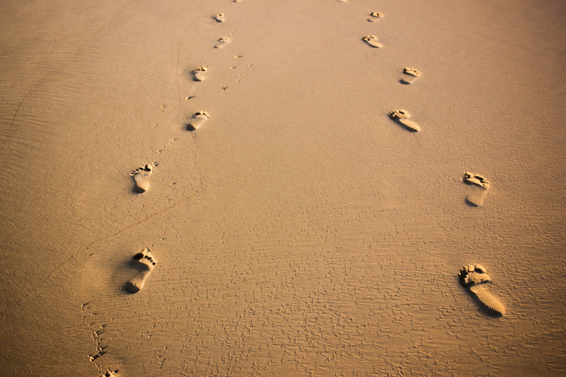 foot prints